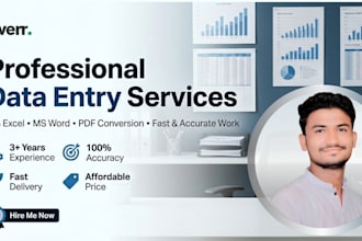 do data entry, excel data entry and PDF conversion