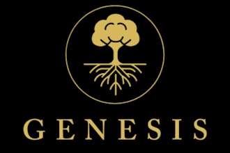 refine, fix, and manually vectorise your logo