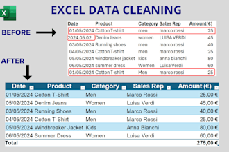 clean excel data and create reports and dashboards