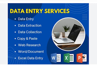 do professional data entry data typing web reasearch