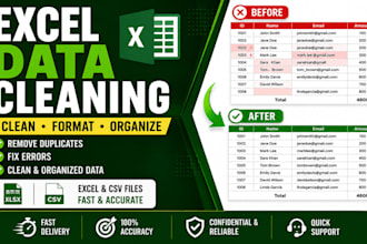provide excel and CSV data cleaning and formatting