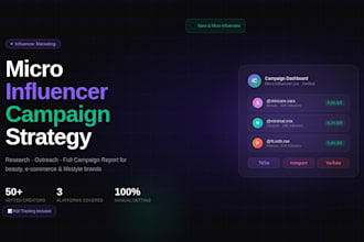 create a micro influencer campaign strategy and outreach plan for your brand