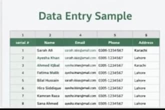 do accurate data entry and english typing work expert