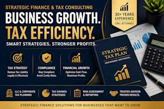 provide business finance and tax consulting