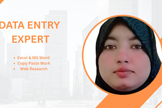 expert excel data entry and corporate document formatting