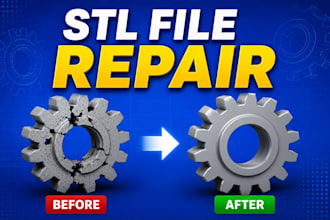 be your expert 3d designer for stl files and 3d printing