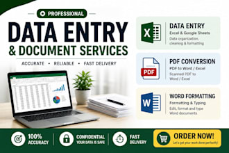 do excel data entry, word formatting and PDF conversion