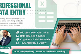 do professional data entry and excel data formatting