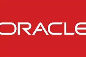provide expert oracle dba support