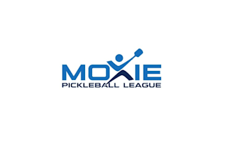 design unique sports league logo