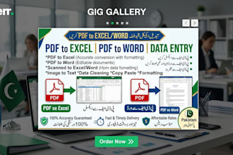 do professional PDF to excel PDF to word and copy paste data entry work