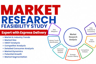 conduct comprehensive market research, competitor analysis, feasibility study