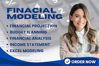 do a financial modeling, budget planning, financial analysis, income statement