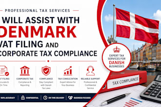 assist with denmark vat filing and corporate tax compliance