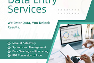 do fast and accurate data entry and spreadsheet cleanup