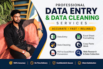 do data entry, copy paste, format and clean excel data