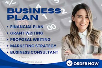 do a business plan, marketing strategy, financial plan, grant writing, proposal