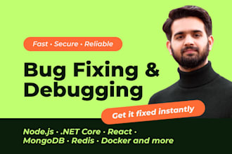 debug and fix bugs in nodejs dot net core nextjs or react