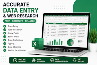 do accurate dataentry, webresearch, excel , copy paste work