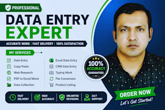 provide expert data entry