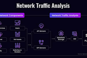 do network traffic analysis, incident response, memory and endpoint forensic pro