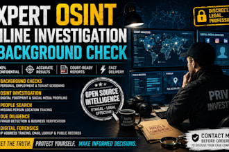 conduct expert osint online investigation and background check