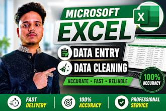 do expert microsoft excel data entry and data cleaning work