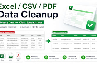 clean and organize excel CSV and PDF data