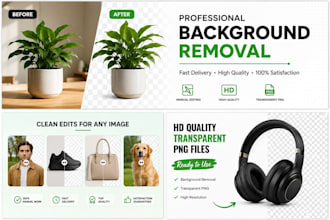 remove image backgrounds professionally and photo cutout