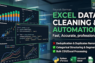 do python data cleaning pandas automation and excel formatting