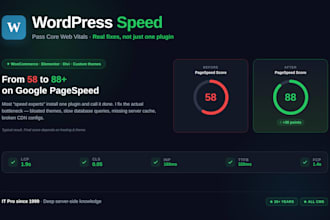 optimize and fix your wordpress website for speed and performance
