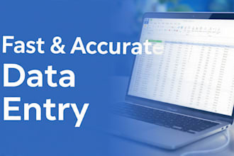 do fast and accurate data entry and typing work