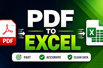 do accurate PDF to excel data entry on your instructions