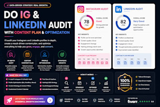 do ig and linkedin audit with content plan and optimization