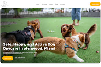 design dog daycare website, pet daycare website, dog grooming website