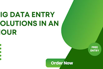 finish big data entry work for your business in an hour