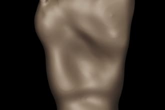 do basic 3d sculpting