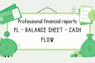 create professional financial reports