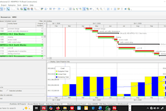 manage construction projects on primavera p6 professionally