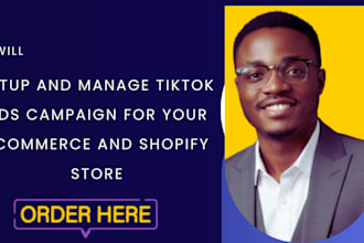 setup and manage tiktok ads campaign for your ecommerce and shopify store
