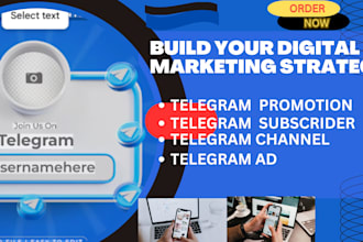 be your nft telegram moderator, telegram admin, chatter, community manager
