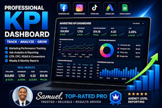 build and manage agency KPI dashboard for ads and marketing tracking