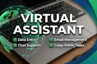 be your professional virtual assistant for data entry and chat support