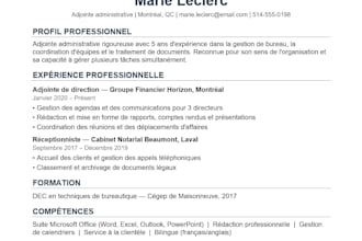 write a professional french CV and cover letter