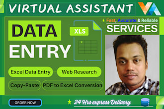 data entry, PDF to excel, copy paste, data mining, research, email contact list