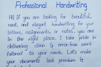 provide professional summary or handwriting and document creation