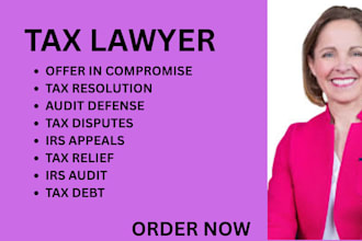handle tax disputes, irs audits, tax debt, tax relief, and tax appeals