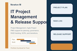provide professional pmo and project coordination support