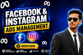 create and manage facebook ads campaign and instagram ads