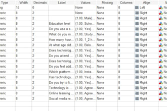 provide word, excel and spss services